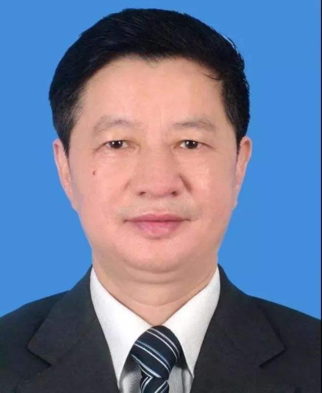 副主任委员：陈湘生（院士）
